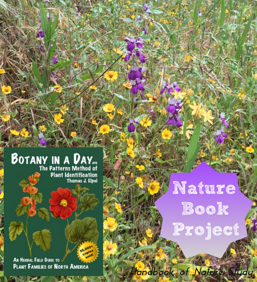 The Handbook Of Nature Study